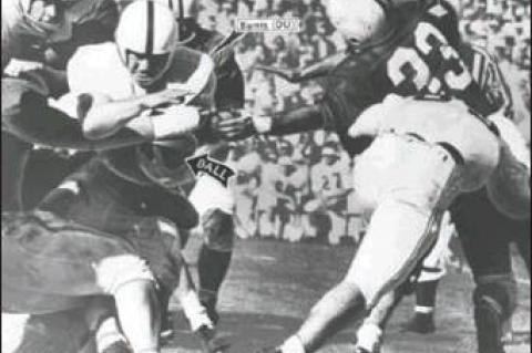 Article Image Alt Text