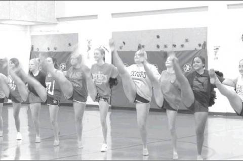 Article Image Alt Text