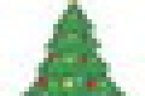 This Week In Seminole County