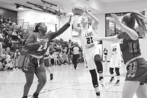 Article Image Alt Text