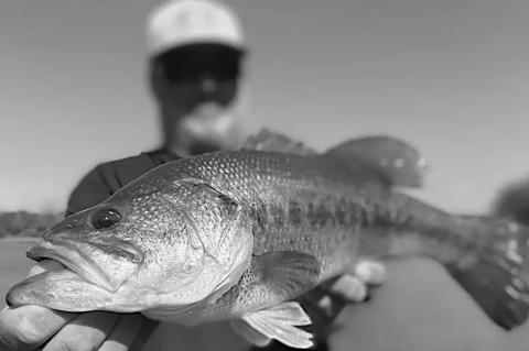 Latest Fishing Report for October 23, 2024