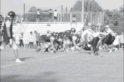 Article Image Alt Text