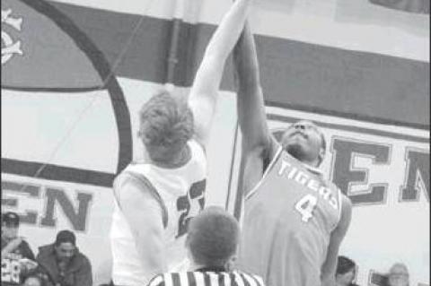 Article Image Alt Text