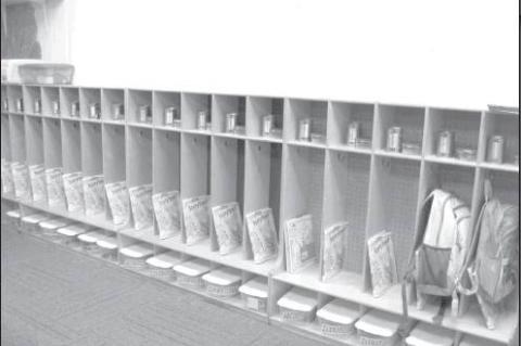 Article Image Alt Text