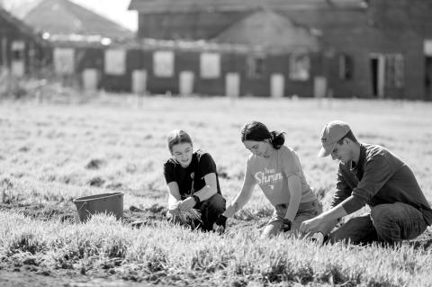 OSU Farm Doubles Acreage to Serve Oklahoma Food Banks