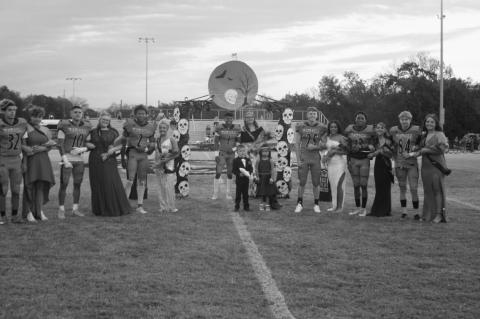 Article Image Alt Text