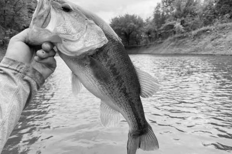 Latest Fishing Report for February 19, 2025