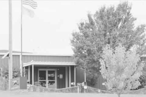 Article Image Alt Text