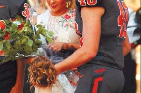 Article Image Alt Text