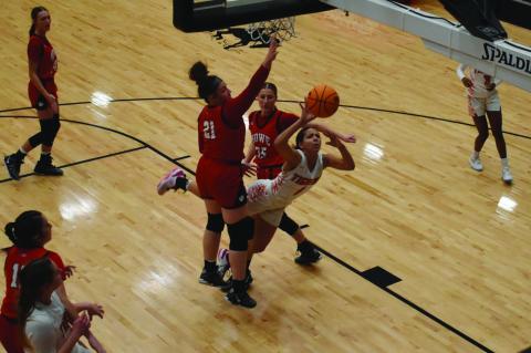 Wewoka Lady Tigers Fall at Area to Lions