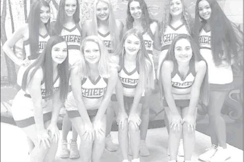 Article Image Alt Text