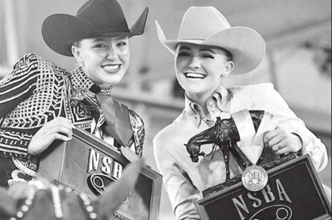 Article Image Alt Text