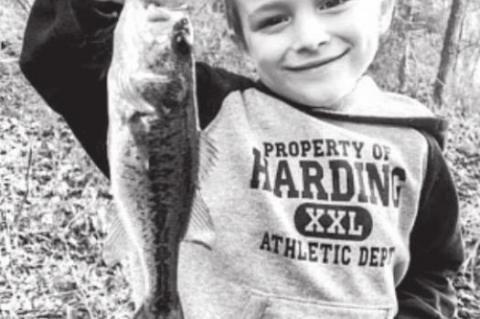 Article Image Alt Text