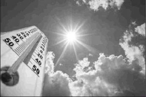 Article Image Alt Text