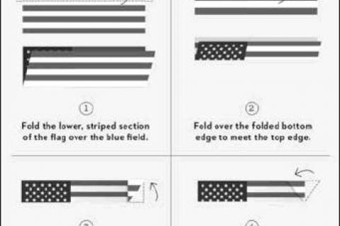 Article Image Alt Text