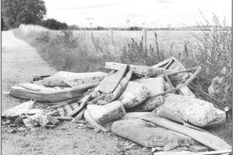 Workshop to Focus on Environmental Law Enforcement