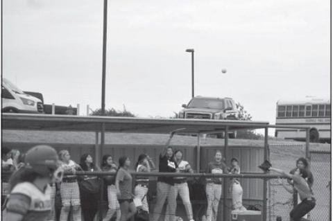 Lady Whippets Face Lady Wolverines