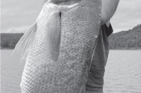 Latest Oklahoma Fishing Report for September 13, 2023