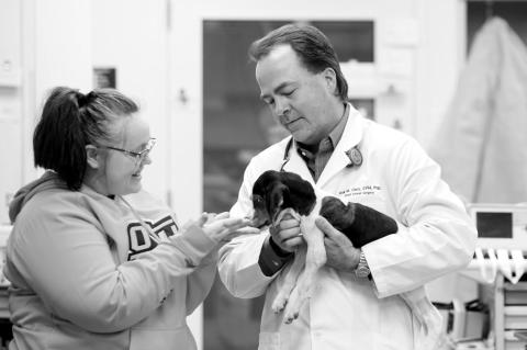 OSU Veterinary Medicine Authority Launches