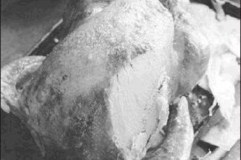 A Tasty Take on Turkey Just in Time for Thanksgiving