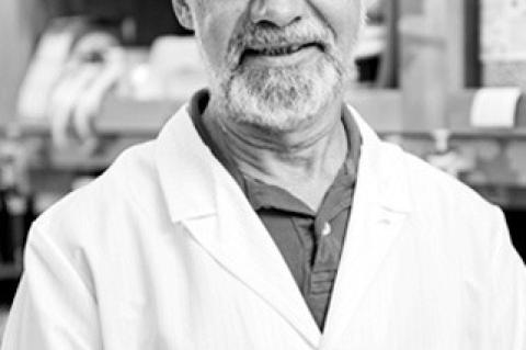 Article Image Alt Text