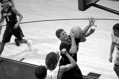 Article Image Alt Text