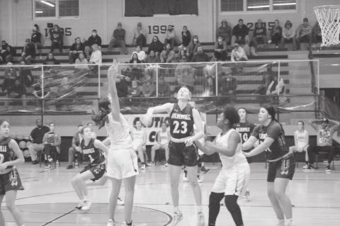 Wolverines Come to Tiger Country