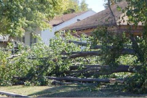 Article Image Alt Text