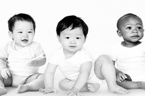 Article Image Alt Text