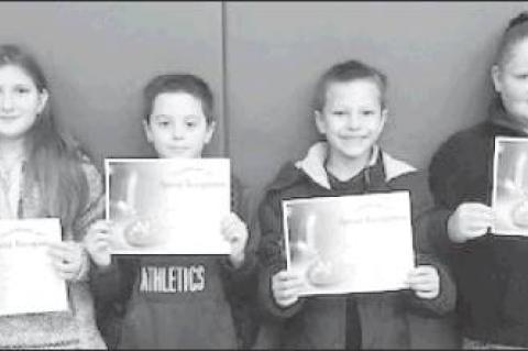 Article Image Alt Text