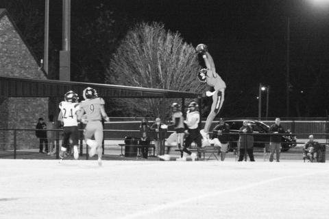 Article Image Alt Text