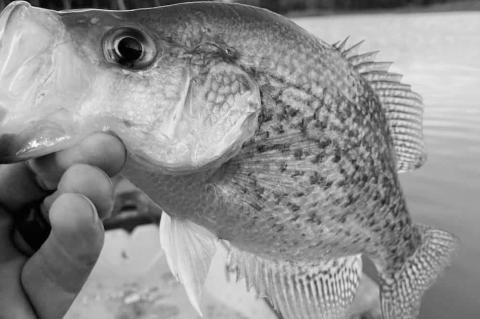 Latest Fishing Report for December 18, 2024