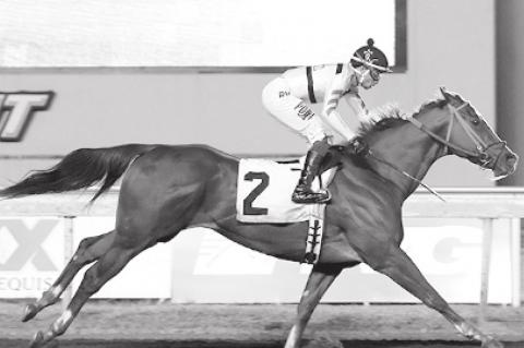 1-vs-2 Matchup Delays AP Women’s Basketball Poll a Day