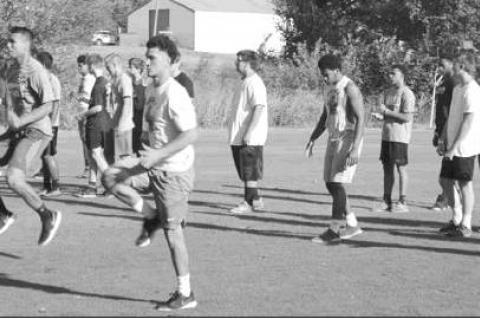 Article Image Alt Text