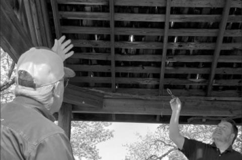 Museum Fundraiser to Benefit Sorghum Grounds