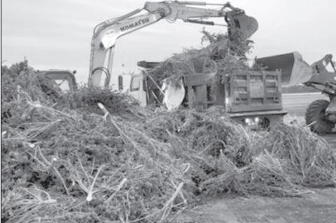 Man Indicted After Seizure of Over 72,000 Lbs. of Marijuana