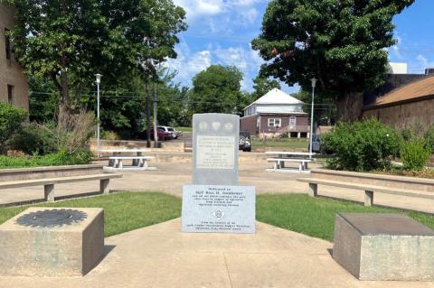 Article Image Alt Text