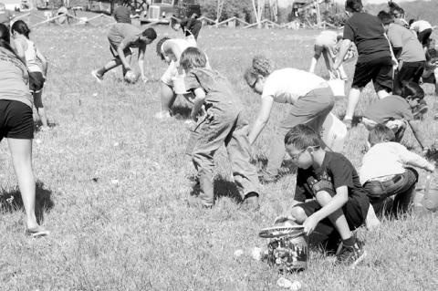 Article Image Alt Text