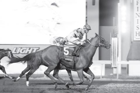 Remington Park Thoroughbred  Season Gets Underway Today