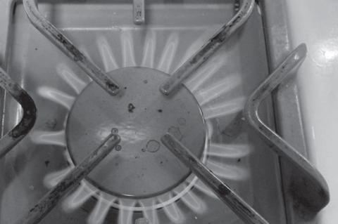 Rep. Bice Votes to Protect Right to Cook With Gas